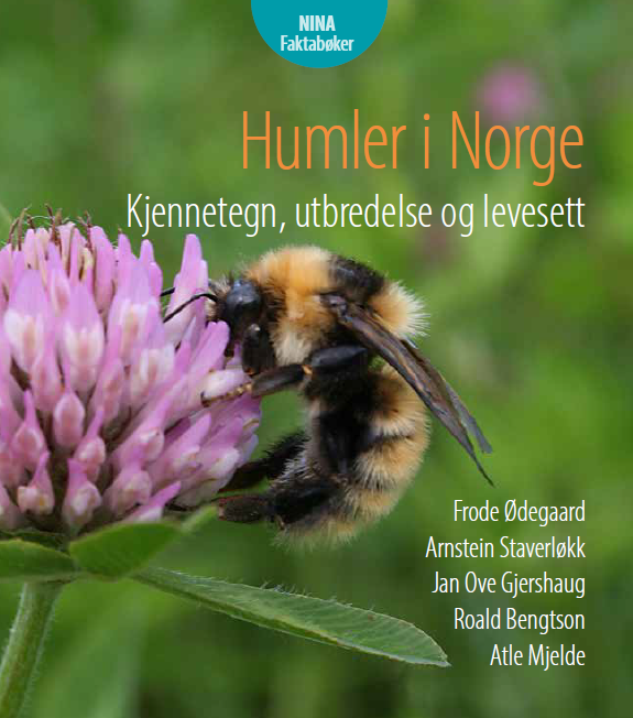 Bok humler i Norge